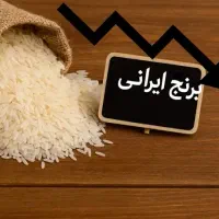 اقساط برنج ایرانی|خوردنی و آشامیدنی|کاشان, زیدی|دیوار