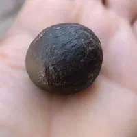 شهاب سنگ|کلکسیون اشیاء عتیقه|کازرون, |دیوار