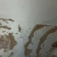 کچ کاری لکه گیری و...|خدمات پیشه و مهارت|اقبالیه, |دیوار