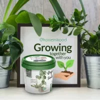 قرص کود بیز تغذیه کامل گیاهان آپارتمانی