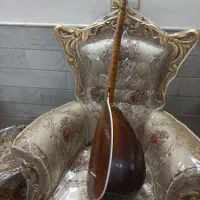 چگول وبلابان وقمیش|سازهای سنتی|قم, نیروگاه|دیوار