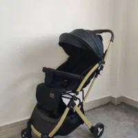 کالسکه Rich kids