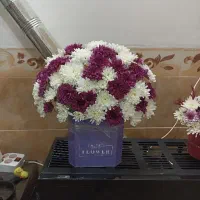 باگس گل طبیعی