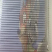 پرده زبرا مخصوص اتاق خواب کودک