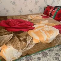 تخت خواب دو نفره همراه با روتختی و بالشت و تشک|تخت و سرویس خواب|نیشابور, شهرک بسیج|دیوار