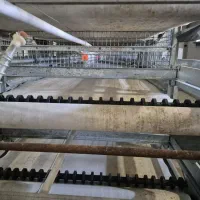 فروش خط تمام مکانیزه قفس پرورش بلدرچین|ماشینآلات صنعتی|فامنین, |دیوار