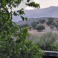 ویلا باغ مخصوص طبیعت دوستان لب رودخانه|اجارهٔ کوتاه‌مدت ویلا و باغ|شیراز, محمدیه|دیوار