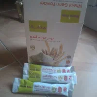 جوانه گندم