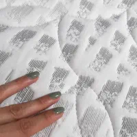 تشک سوپر پدینگ ۲در۱/دارای پد نرم+هسته مقاوم ضدلرزش|تشک تختخواب|پرند, فاز ۶|دیوار