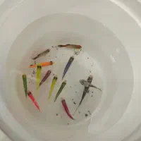 با دو عدد کوی خوشگل تعویض میکنم.