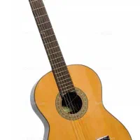 گیتارفروشی