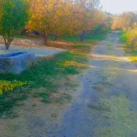 عکسی برداری.