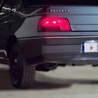 405نوک مدادی دُلفینی