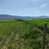 زمین باغی برجاده اصلی کرمانشاه بیلوار رازیان