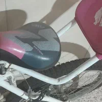 دوچرخه ۲۴|دوچرخه، اسکیت، اسکوتر|اسلام‌شهر, شهرک انبیا|دیوار