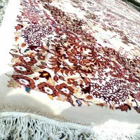 نیرو برای قالیشویی