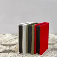 مینی آلبوم عکس|تابلو، نقاشی، عکس|قم, شاه ابراهیم|دیوار