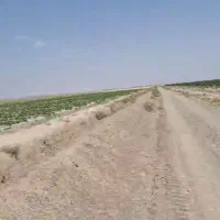49هکتار-زمین-کشاورزی-در-شهر-خشکرود