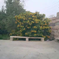 سویت-درروستا-جنب-بیمارستان-خاتم