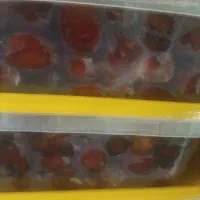 خرمای خشک و شیره دار بوشهر|خوردنی و آشامیدنی|اهواز, فرودگاه|دیوار