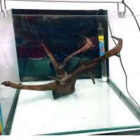 اکواریوم *چراغ اکواریوم*ابنوس*بخاری