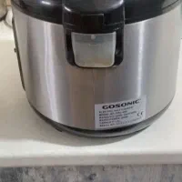 پلوپز گاسونیک