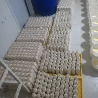 کشک، درجه‌یک سفت و غلظ .فروش عمده