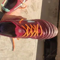 استوک|کیف، کفش، کمربند|بهارستان, |دیوار