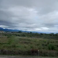 همخونه