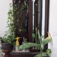 جاکفشی و جالباسی