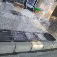 کلکسیون قفس های پرنده|لوازم جانبی حیوانات|تربت‌حیدریه, شهید قرنی|دیوار