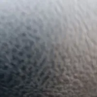 کیف کارت گم شده رنگ قهوه ایی