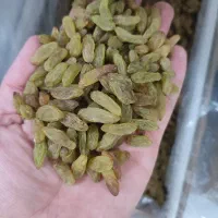 کشمش سبز|خوردنی و آشامیدنی|بیرجند, |دیوار