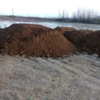 خاک باغچه کود حیوانی خاک برگ....|خدمات باغبانی و درختکاری|چاف و چمخاله, |دیوار