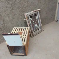 سبد.راکش.ودرقال.کبوتر