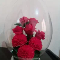 گوی گل بسیار زیبا و کاملا سالم