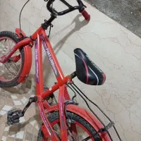 دوچرخه