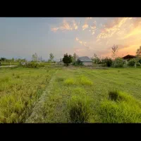 ۷۸۸ متر سنددارمسکونی در طرح هادی