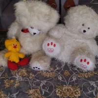 عروسک خرسی تمیز