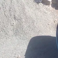 فعالیت داوطلبانه نیه ماسه مفته