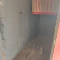 اسبکش|اسب و تجهیزات اسب‌سواری|رفسنجان, |دیوار