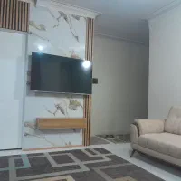 هم خونه شاغل