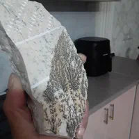 منحصر به فرد زیبا فوق العاده