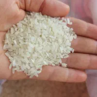 برنج کامفیروزی اصل