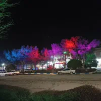 برق کاری ساختمان و نور پردازی