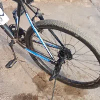 دوچرخه دنده ای|دوچرخه، اسکیت، اسکوتر|تربت جام, جامرود|دیوار