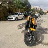 بلنتا z 249 طلایی