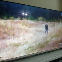 تلویزیون 55اینچ|تلویزیون و پروژکتور|دزفول, |دیوار