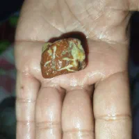 سنگ|جواهرات|مرودشت, دولت آباد|دیوار