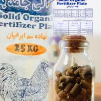 پلت مرغی هومیک اسید گرانول گوگرد 80%